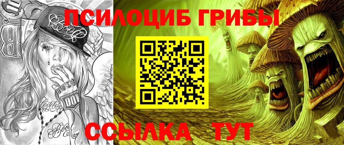 Галлюциногенные грибы мицелий Богородск