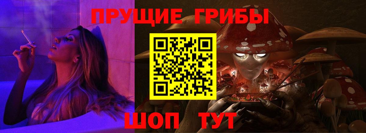 Богородск  Псилоцибиновые грибы Cubensis  где найти наркотики  Вход с VPN 